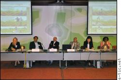 Photo: Fernando Garvizu